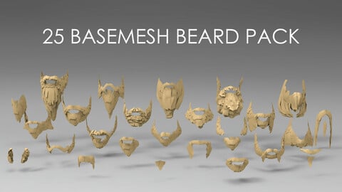25 basemesh beard pack