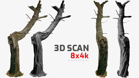 Burnt Pine Charred Tree Trunk 8x4k \ 3x16k Textures RAW 3D Scan