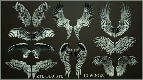 10 Wings 3d model ZTL+OBJ+STL