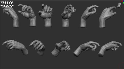 Hand Anatomy Practice