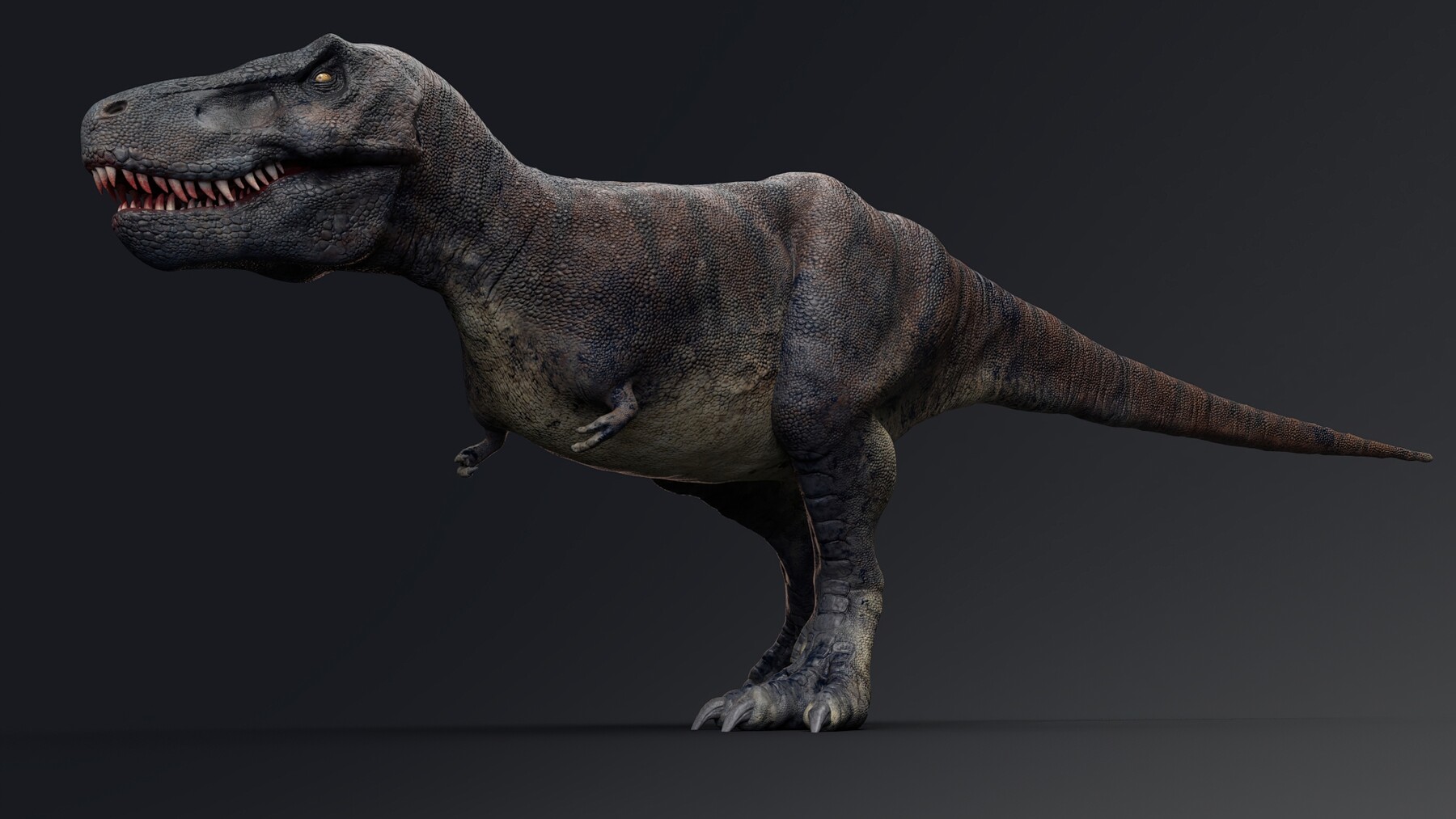 RACKSUZ / ramazan ozekici - Tarbosaurus Bataar Real Dinosaur 76 Animations