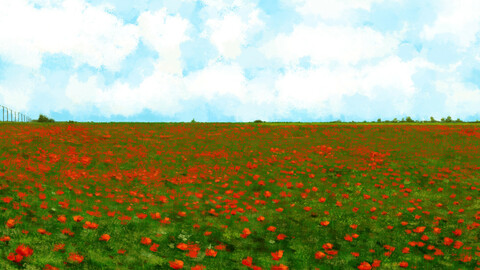 A poppy field
