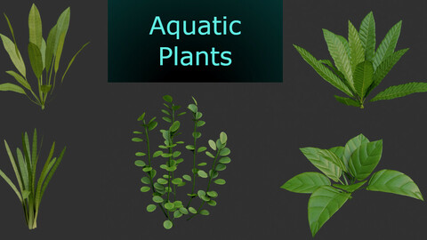 Aquatic Plants (Source file included)