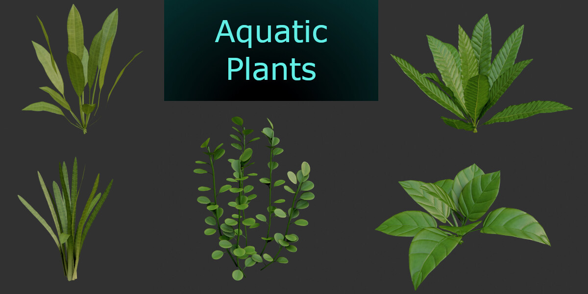 ArtStation Aquatic Plants (Source file included) Resources