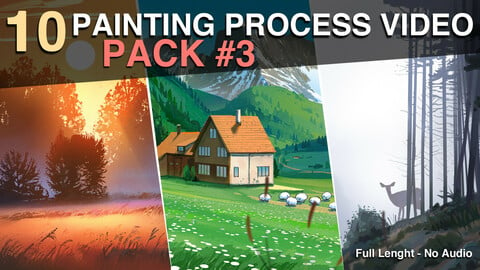10 Painting Process Video - Pack 3/3