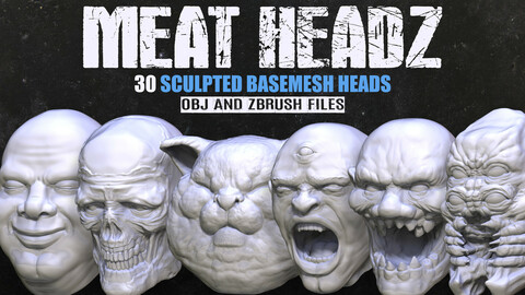 Meat Headz: 30 Sculpted Basemesh Heads