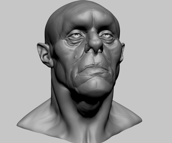 ArtStation - Creature Head H | Resources