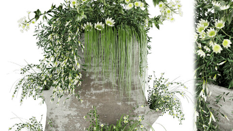 Collection plant vol 35 - grass - leaf - blender - 3dmax - cinema 4d