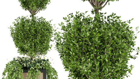 Collection plant vol 41 - outdoor - leaf - blender - 3dmax - cinema 4d