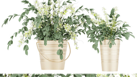 Collection plant vol 53 - flower - leaf - blender - 3dmax - cinema 4d