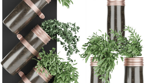 Collection plant vol 64 - leaf - blender - 3dmax - cinema 4d