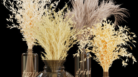 Collection plant vol 76 - dried - flowers - Bouquet - blender - 3dmax - cinema 4d