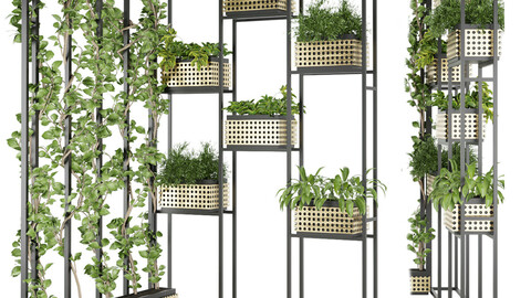 Collection plant vol 80  - indoor - ertical - leaf - blender - 3dmax - cinema 4d