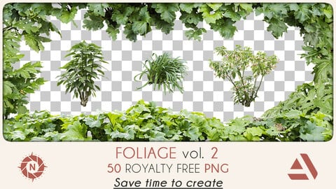 PNG Photo Pack: Foliage volume 2