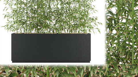 Collection plant vol 94 - bamboo - leaf - blender - 3dmax - cinema 4d