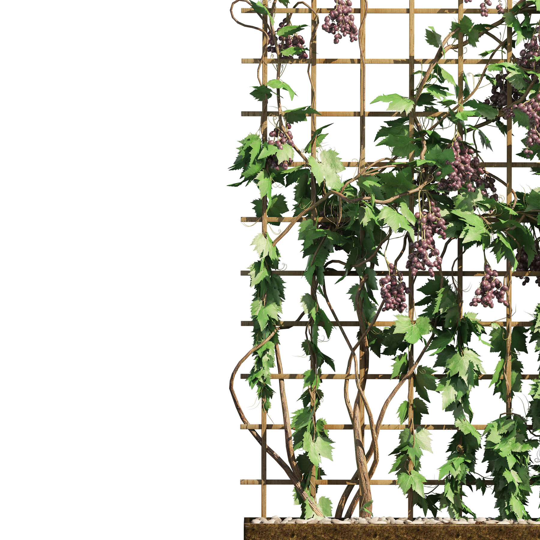 Artstation 2 Grapevine Low And Med Poly Resources Artstation 2 Grapevine Low And Med Poly Resources