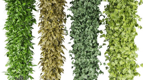 Collection plant vol 113 - ivy - ertical - leaf - blender - 3dmax - cinema 4d