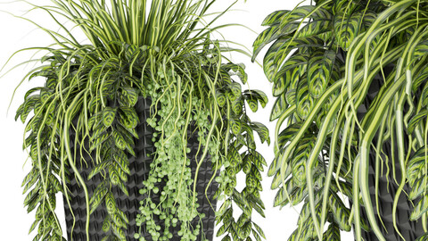 Collection plant vol 128 - grass - leaf - blender - 3dmax - cinema 4d