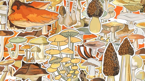 Painted Mushrooms 63 psc