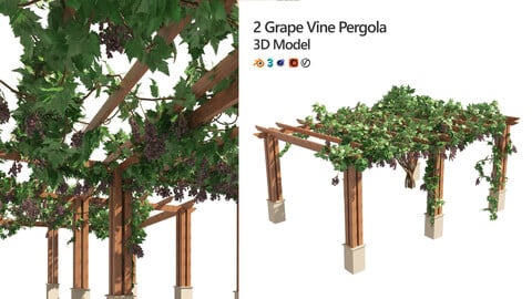 2 Grape Vine Pergola