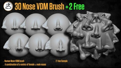 30 Human Nose VDM Brush for ZBrush + 2 free sample