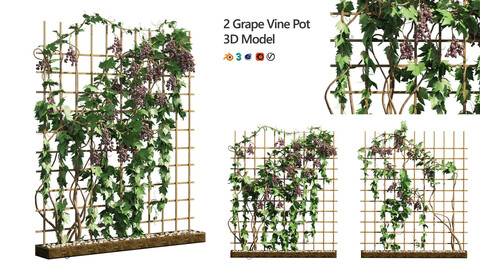 2 Grapevine low and med poly