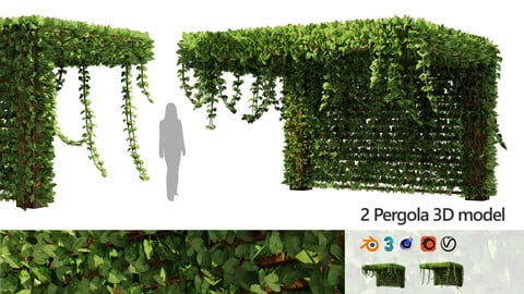 Pergola Vine Bower, Climbing plant