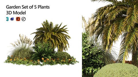 Outdoor Garden Set, Palm Tree, Bush & flowers 3d model