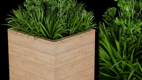 Collection plant vol 134 - grass - leaf - blender - 3dmax - cinema 4d