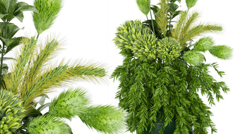 Collection plant vol 139  - Bouquet - leaf - flower - blender - 3dmax - cinema 4d