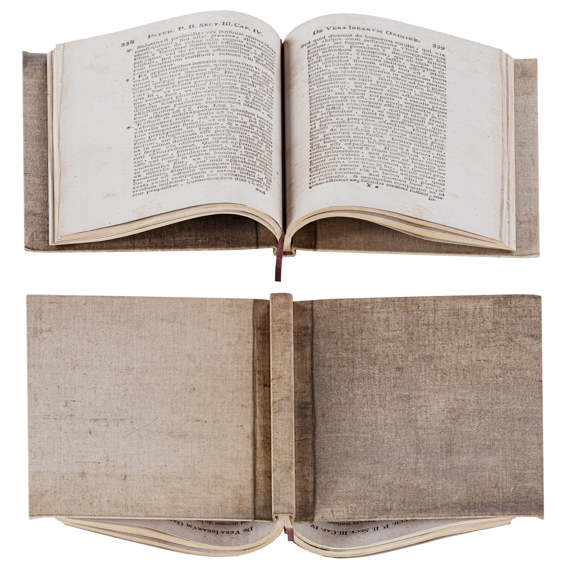 ArtStation - Set of Books 8 - Opened books | Resources