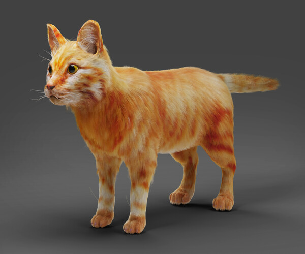 ArtStation - Fur Cat Yellow 02 No Rigged | Game Assets