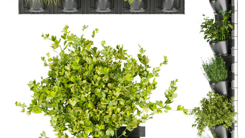 Collection plant vol 238 - leaf - grass - blender - 3dmax - cinema 4d