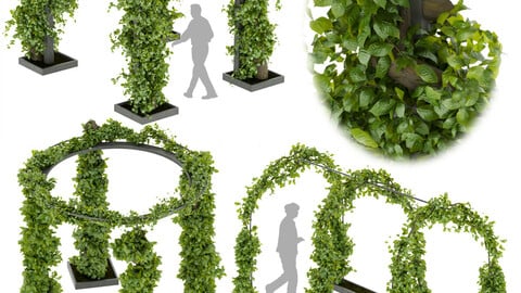 Collection plant vol 269 -Fitowall - garden - ertical - blender - 3dmax - cinema 4d