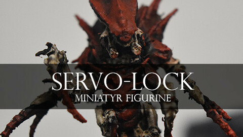 Servo-lock - Miniature.