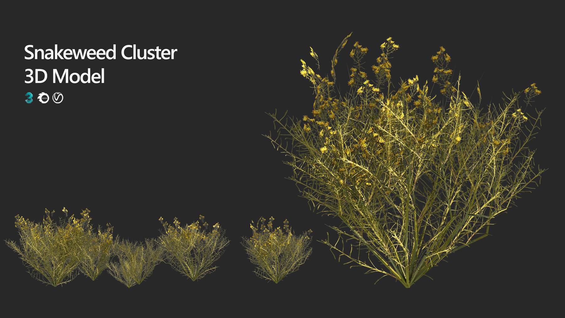 Cluster resource. Snakeweed.