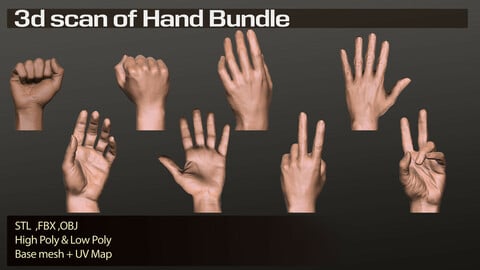3d scan of Real Hand Bundle