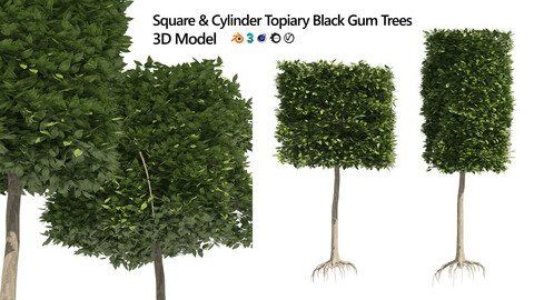 2 square and cylinder topiary tree