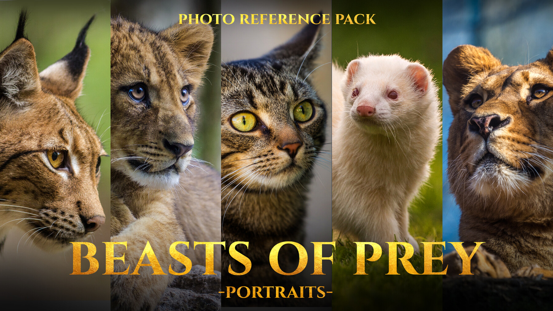 Satine Zillah [satinezillah.com] - Beasts Of Prey- Portraits Photo ...