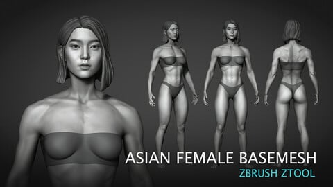 Fit Asian female Base mesh