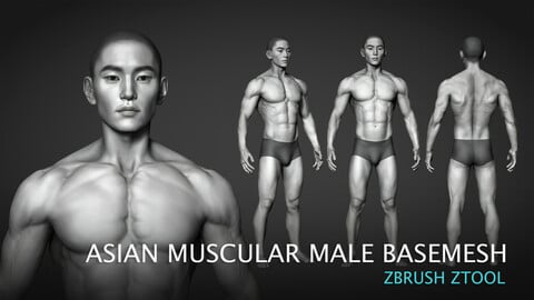 Asian Muscular Male Base mesh