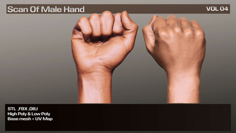 3D Scan Real Male Hand VOL 04