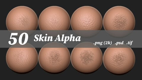 50 Skin alpha brushes (Forehead, Temple, Eyebrow, Eyelid, Eye, Nose, Cheek, Mouth, Chin, Jaw, Neck, Shoulder, Upper Arm, Elbow, Forearm, Wrist, Hand, Fingers, Chest, Breast, Abdomen, Navel, Groin, Hip, Buttocks, Thigh, Knee, Calf, Ankle, Foot, Heel, ...)