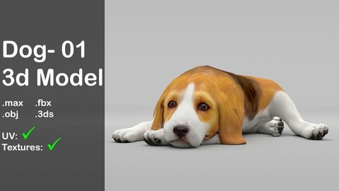 Dog 01_ 3d model