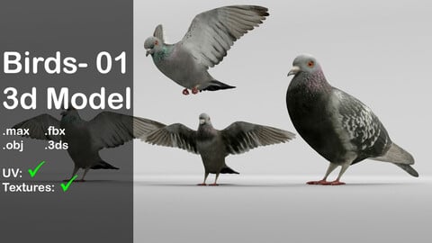 Bird 01_ 3d model
