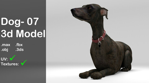 Dog 07_ 3d model