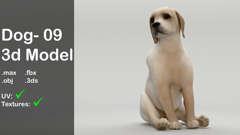 Dog 07_ 3d model