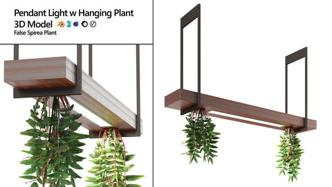 Pendant light with hanging plant