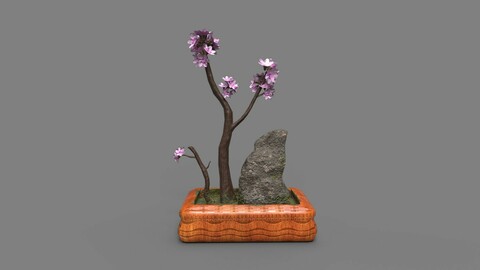 Bonsai Plant Tree 3d Model