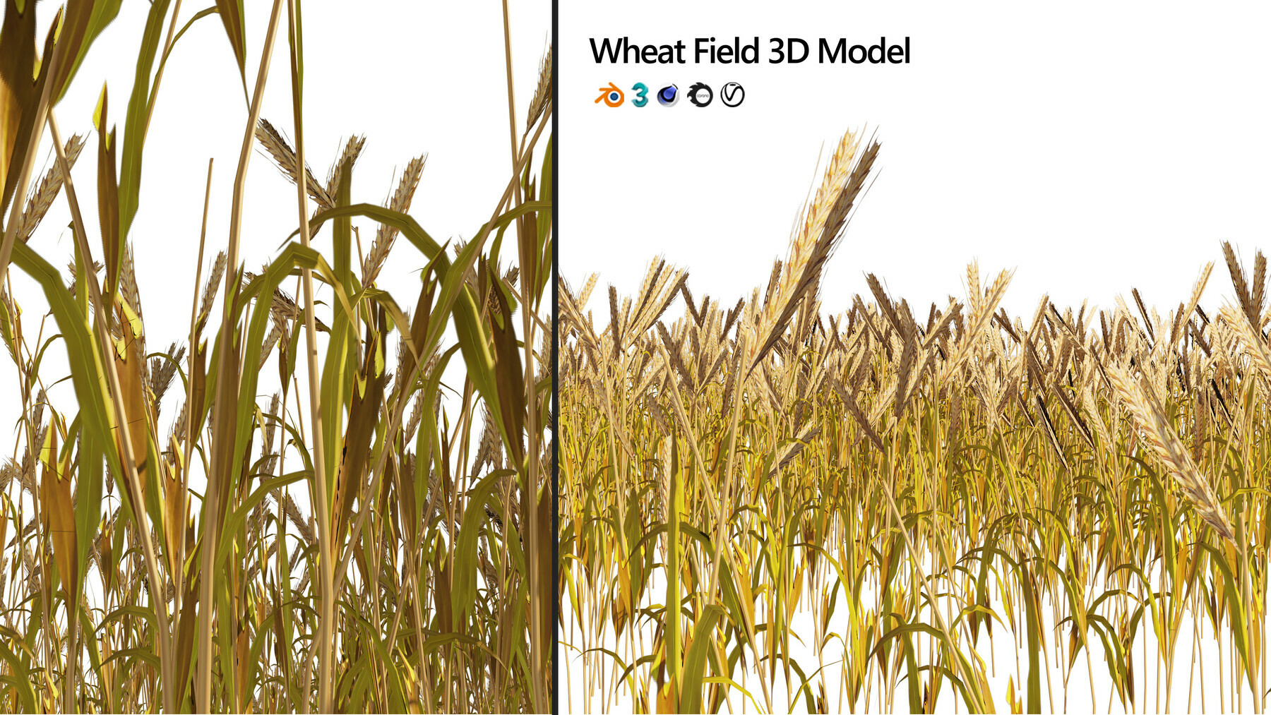 Artstation Golden Wheat Field Game Assets